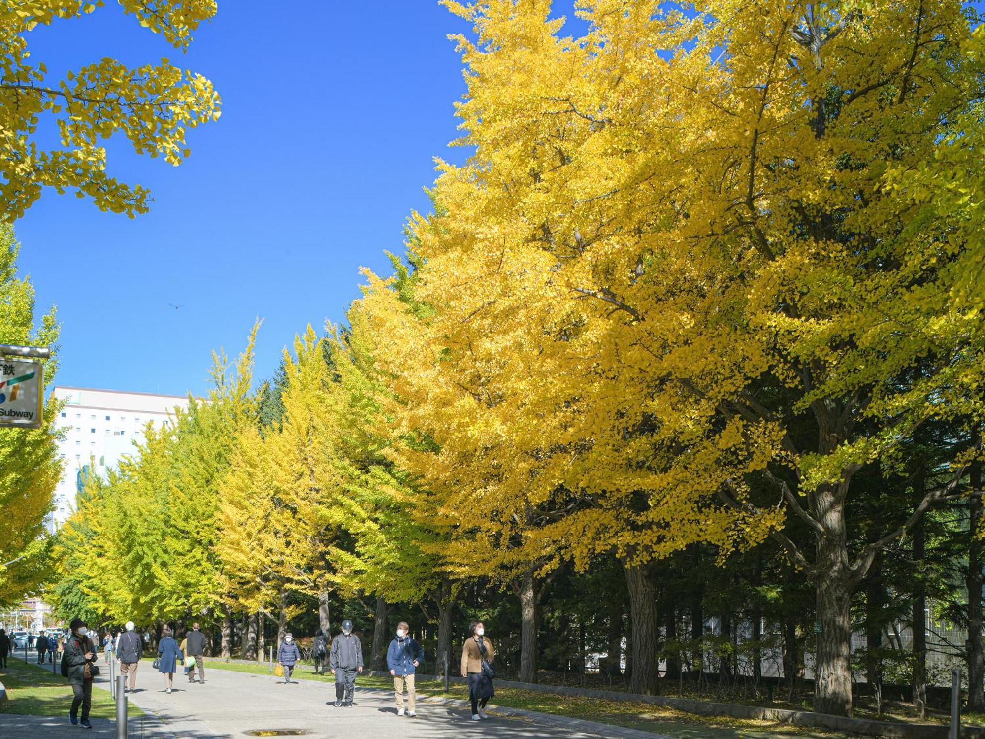 Vessel Inn Sapporo Nakajima Park Buitenkant foto